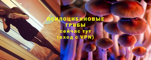шишки Алексеевка