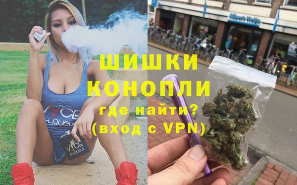 шишки Алексеевка