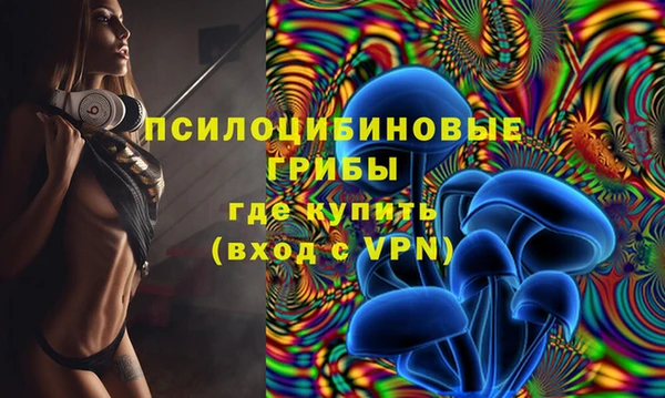 винт Алзамай
