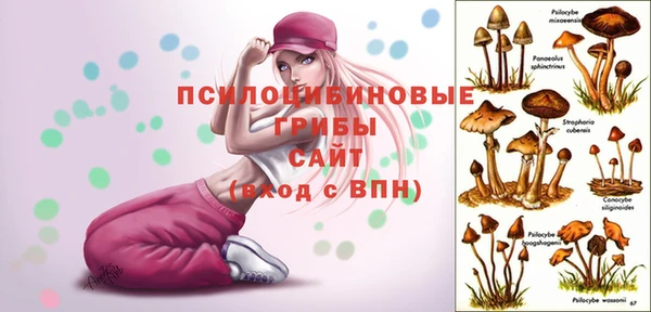 ALPHA-PVP Алексин